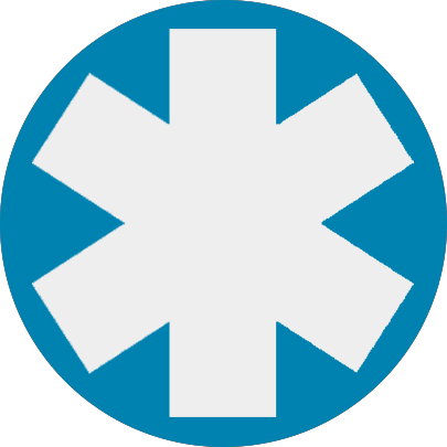 EMS Workers Icon